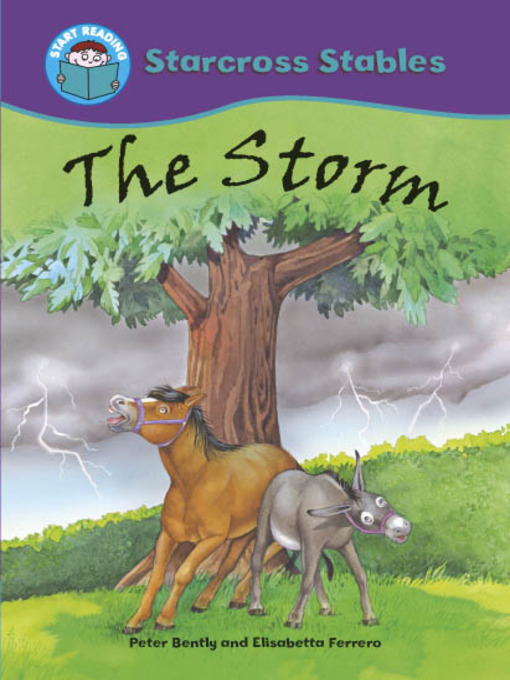 Title details for The Storm by Peter Bently - Available